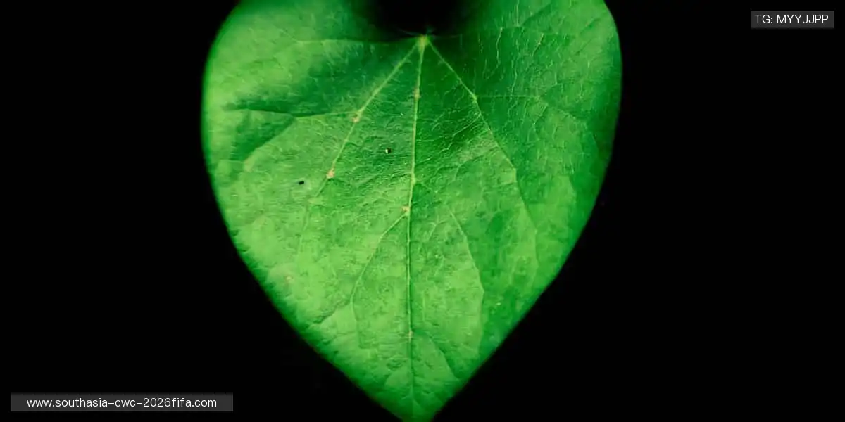 🎮 虚拟赛场，与全球高手同场竞技！🎯